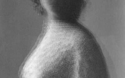 Neue Ausstellung / Drei Positionen der Weltbetrachtung